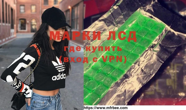 гашик Алексин