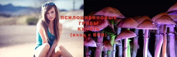гашик Алексин