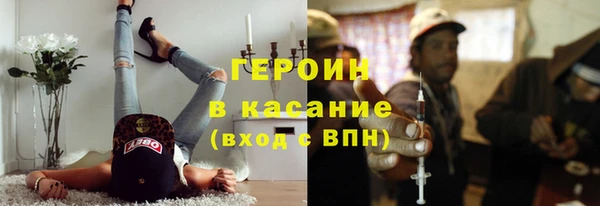 гашик Алексин