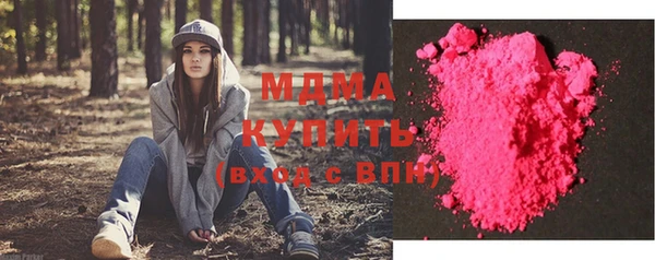 гашик Алексин