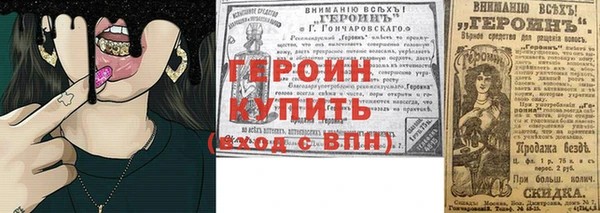 гашик Алексин