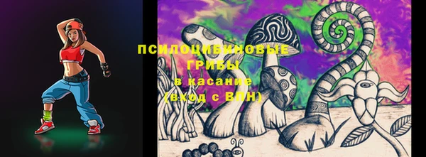 ГАЛЛЮЦИНОГЕННЫЕ ГРИБЫ Алзамай