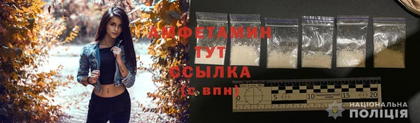 дмт Алексеевка