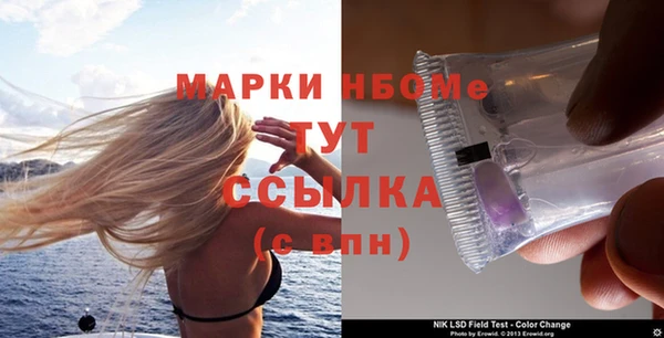 гашик Алексин