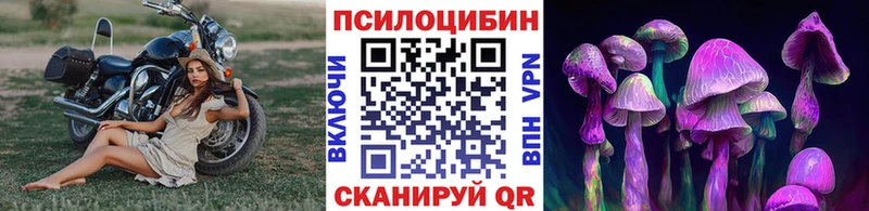 Галлюциногенные грибы Psilocybine cubensis  Заозёрный 